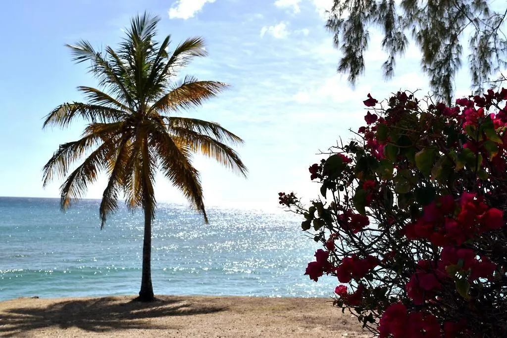 Coastal View7 Apt #3 Christ Church Barbados
