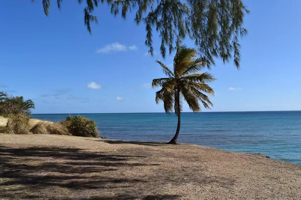 Lägenhet Coastal View7 Apt #3 Christ Church Barbados